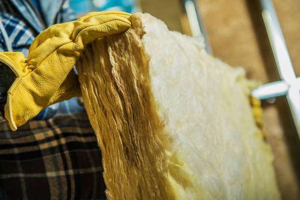 Best DIY Insulation Kits and Guidance in Thorntown, IN